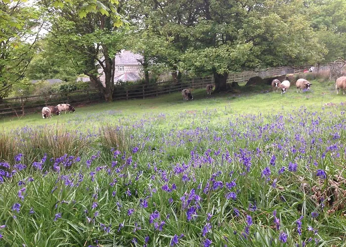 Coombe Farmhouse Bed & Breakfast St Ives 