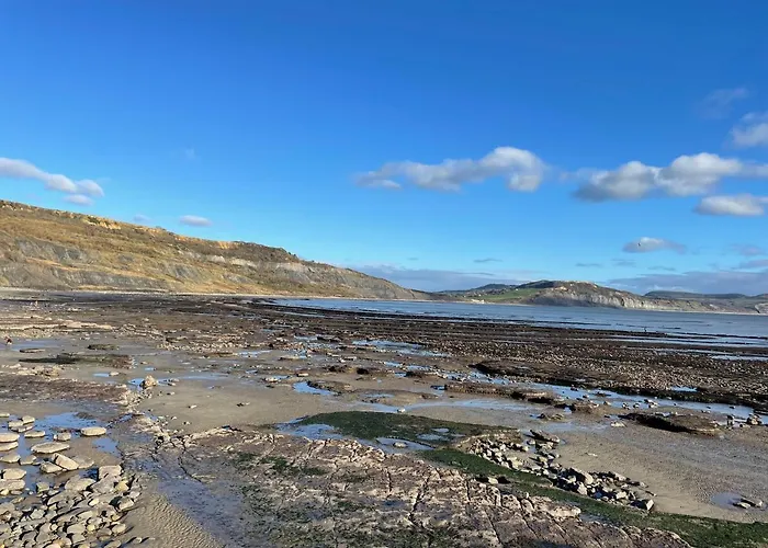 Nettle Bank Bed & Breakfast Lyme Regis