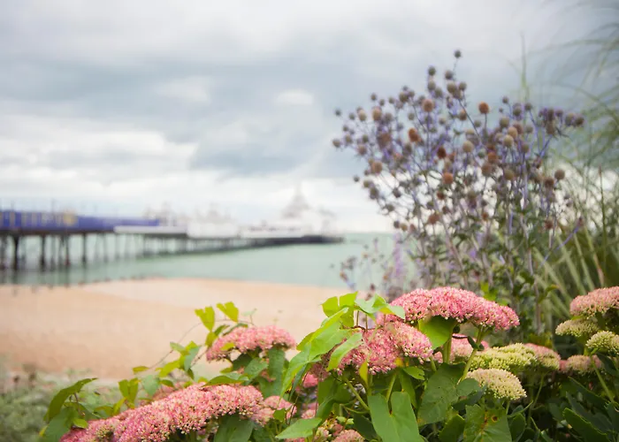 Citrus Hotel Eastbourne By Compass Hospitality