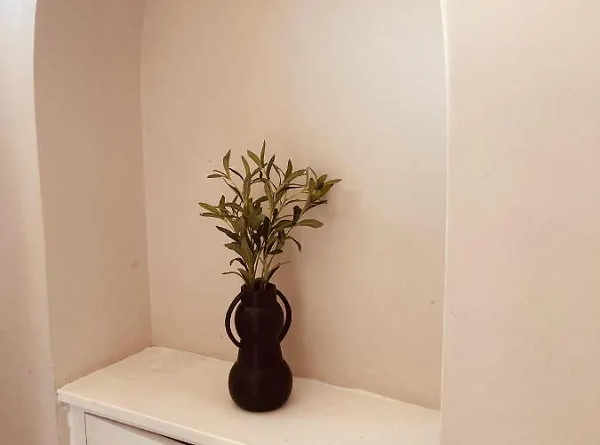 'Bloomfield' At Stayboom Lancaster