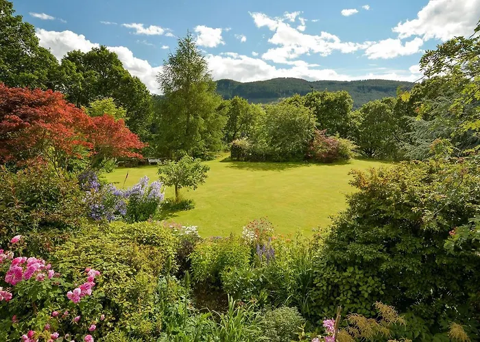 Wintergreen Pitlochry