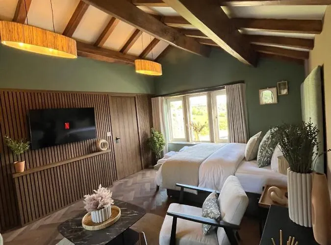 Saltonstall Airbnb Halifax
