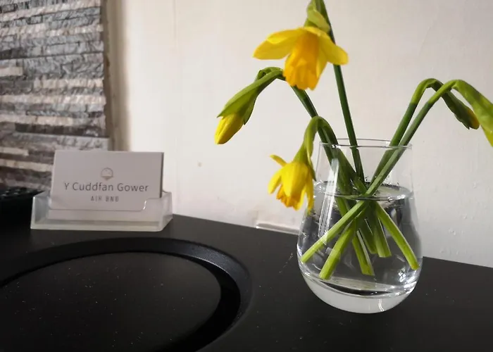 Y Cuddfan Gower Bed & Breakfast Swansea