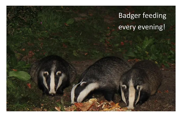 Badger Bar Bed & Breakfast Ambleside