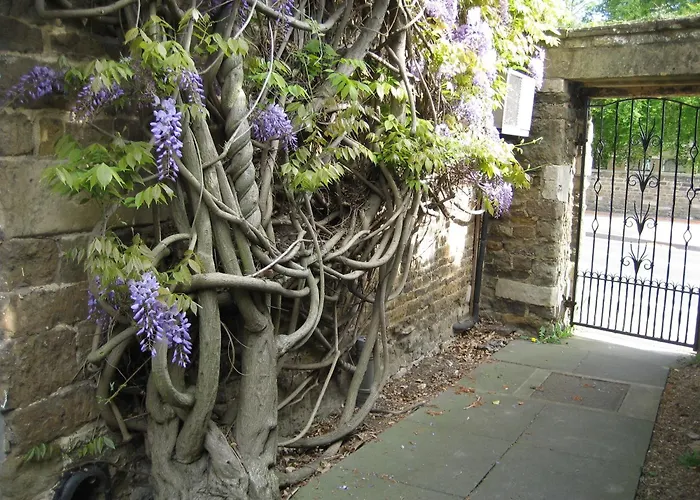 Oakham Hotels