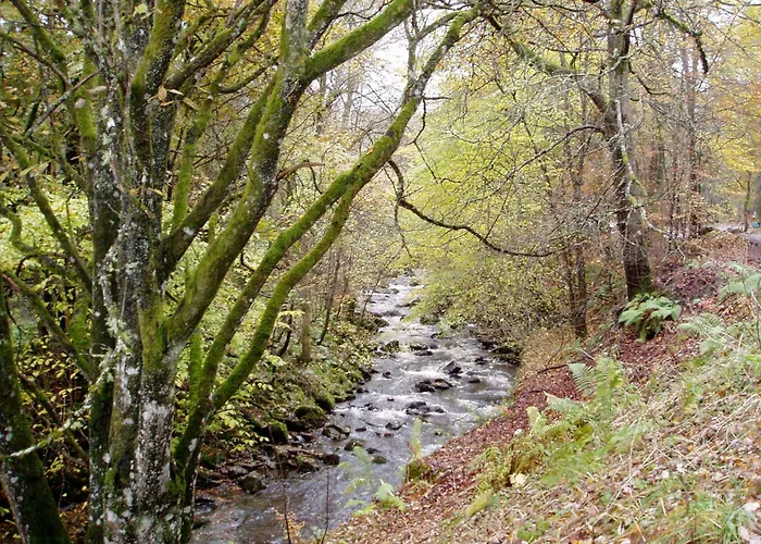 Brae House Bed & Breakfast Aberfeldy
