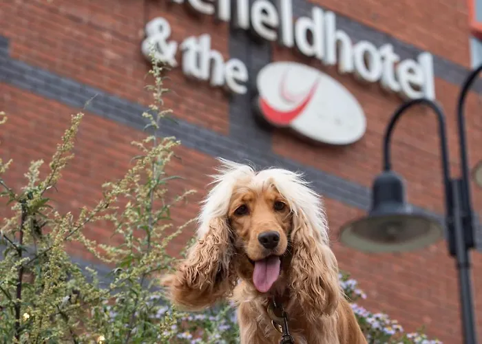 Castlefield Hotel Manchester