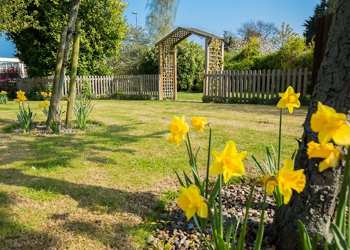 Best 15 Spa Hotels in Colchester for a Relaxing Getaway