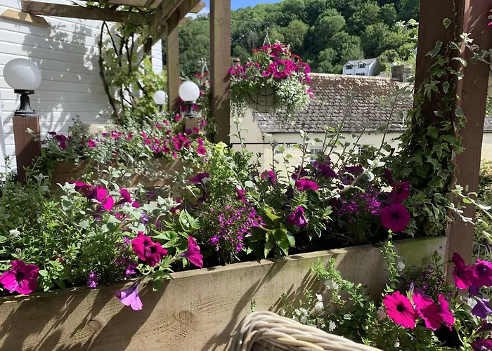 Polperro Hotels