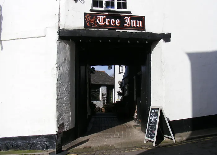 The Tree Inn Bude