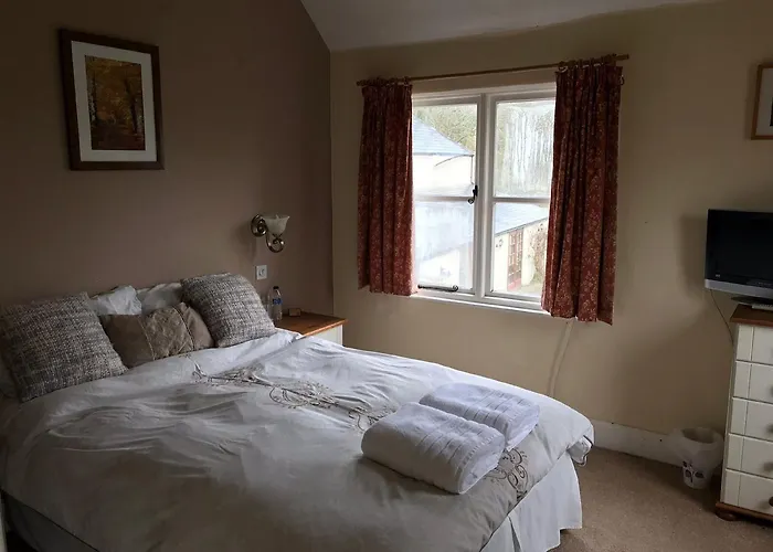 The Carew Arms Hotel Taunton