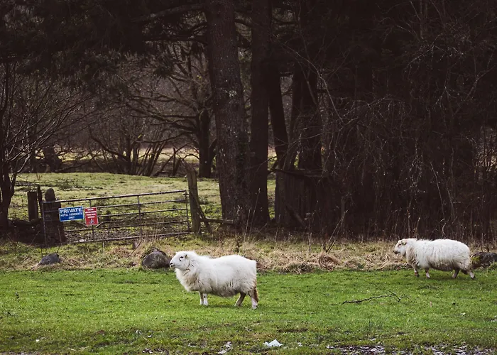 Tyn-Y-Coed Inn Capel Curig